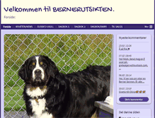 Tablet Screenshot of bernerutsikten.com